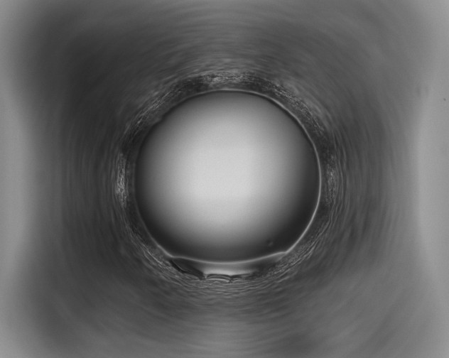 X0000115251250200911061211