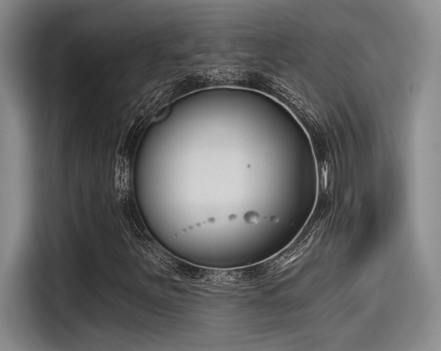 X0000115251251200911061211