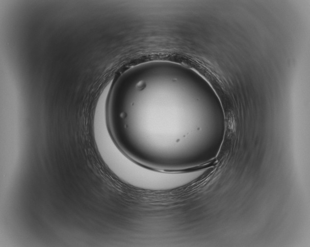 X0000115251252200911061211
