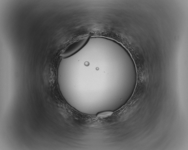 X0000115251253200911061211