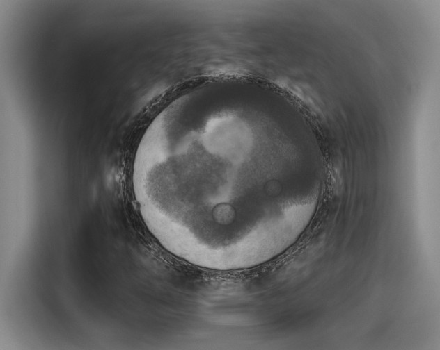 X0000115251254200911061211