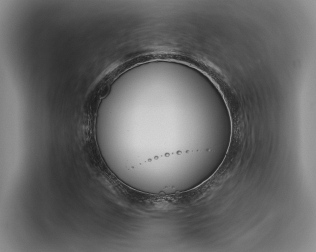 X0000115251255200911061211