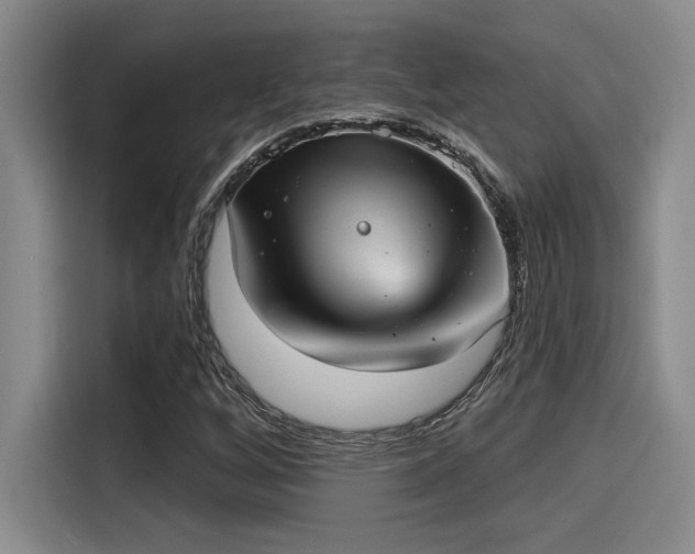 X0000115251256200911061211