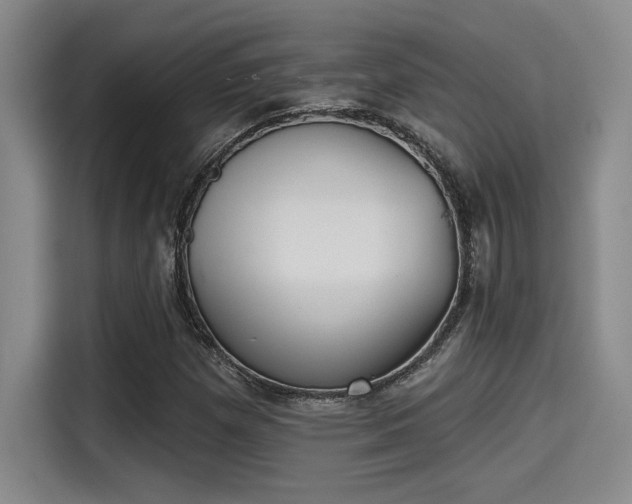 X0000115251257200911061211