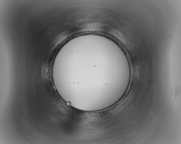 X0000115251258200911061211