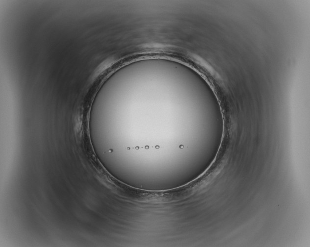 X0000115251259200911061211