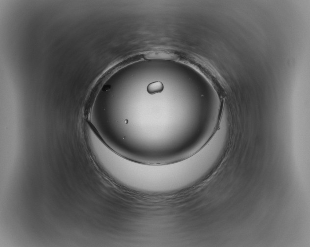 X0000115251260200911061211