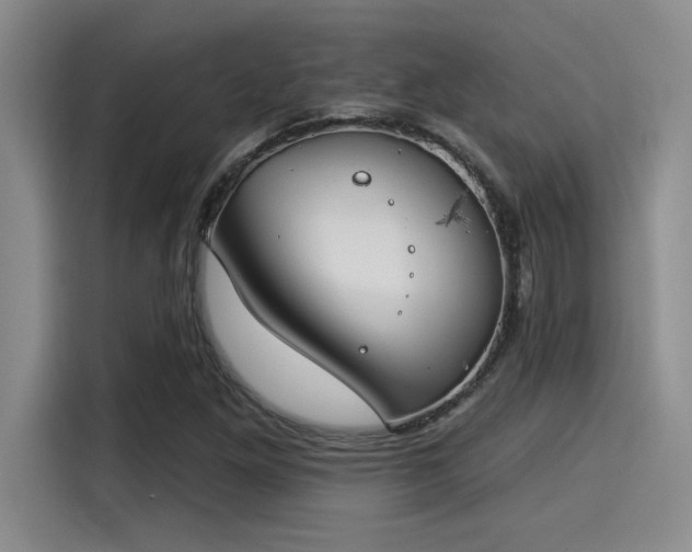 X0000115251261200911061211