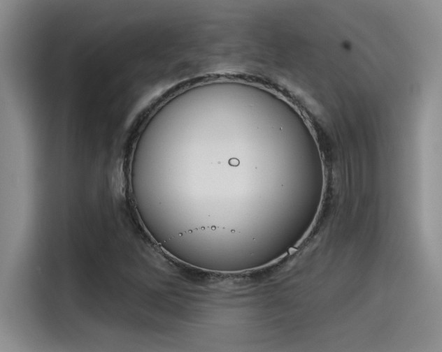 X0000115251262200911061211