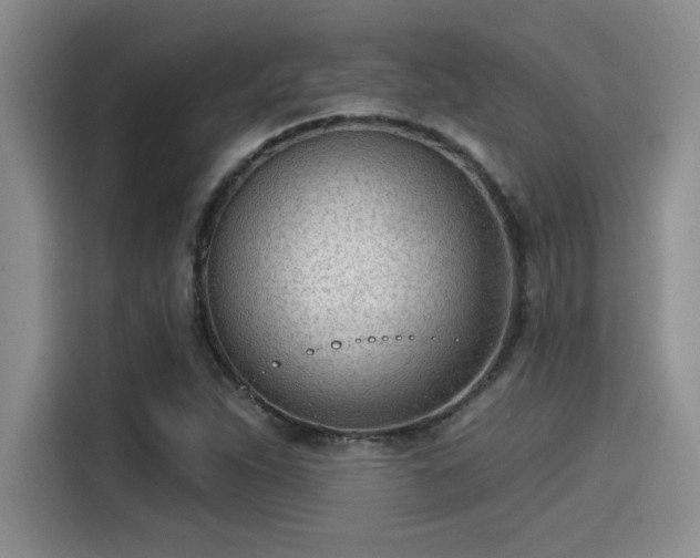 X0000115251263200911061211
