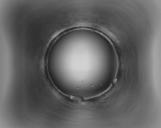 X0000115251264200911061211