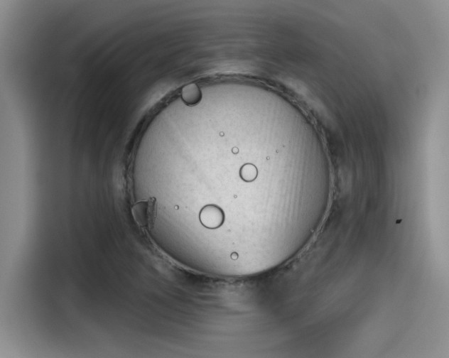 X0000115251266200911061211
