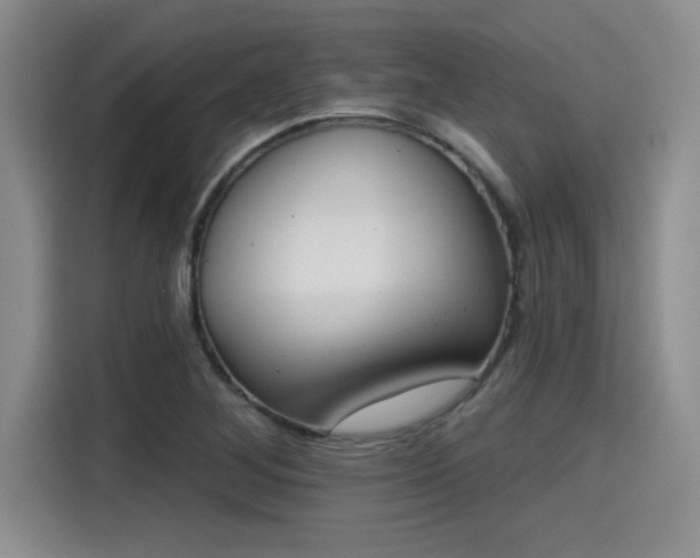 X0000115251268200911061211