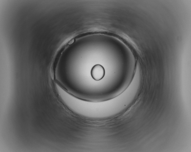 X0000115251269200911061211