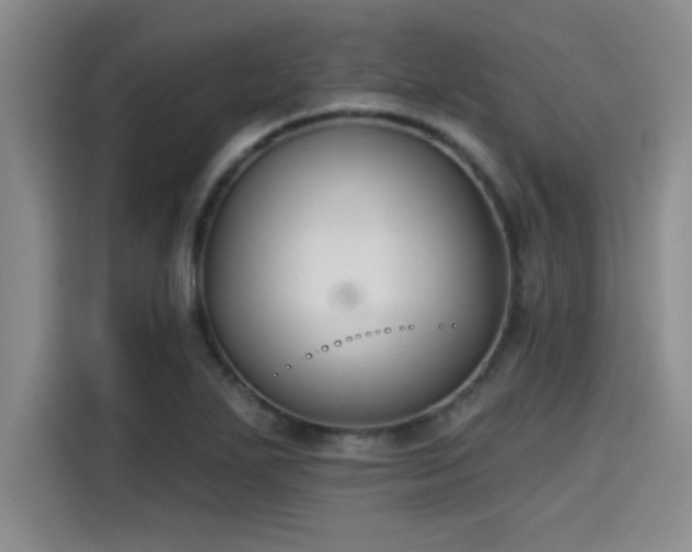 X0000115251271200911061211