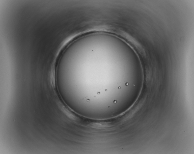 X0000115251272200911061211