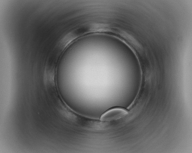 X0000115251273200911061211