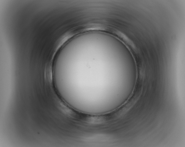 X0000115251274200911061211
