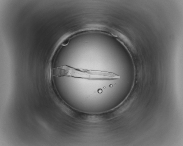 X0000115251275200911061211