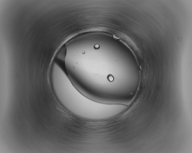 X0000115251276200911061211