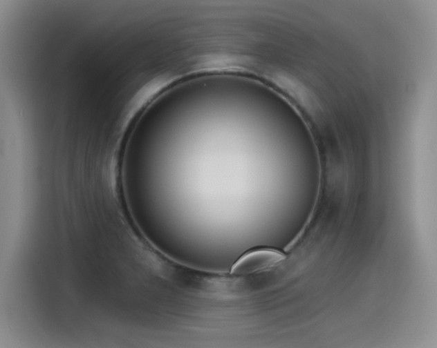 X0000115251277200911061211