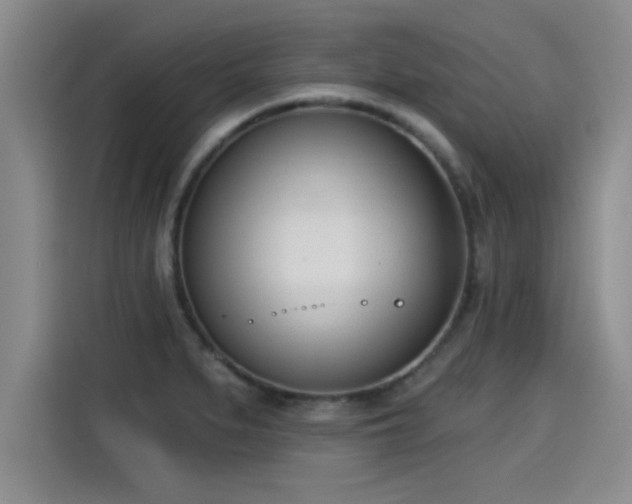 X0000115251279200911061211