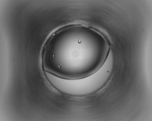 X0000115251280200911061211