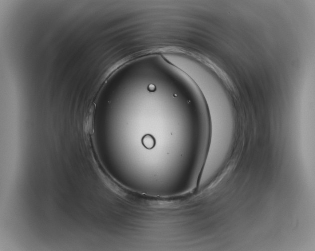 X0000115251281200911061211