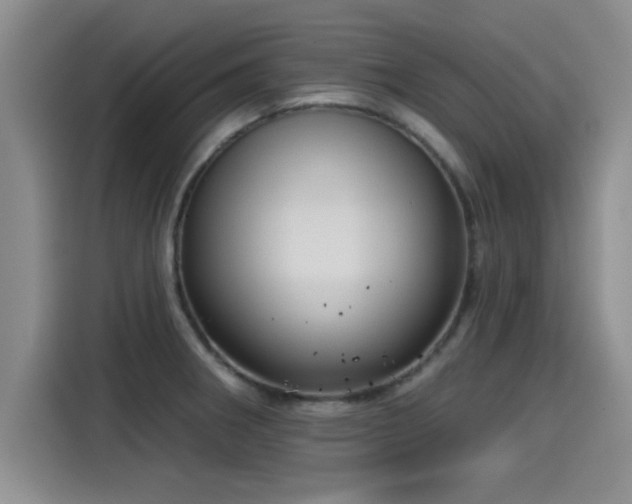 X0000115251282200911061211