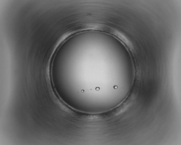X0000115251283200911061211