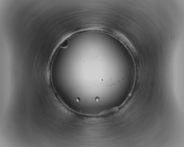 X0000115251284200911061211