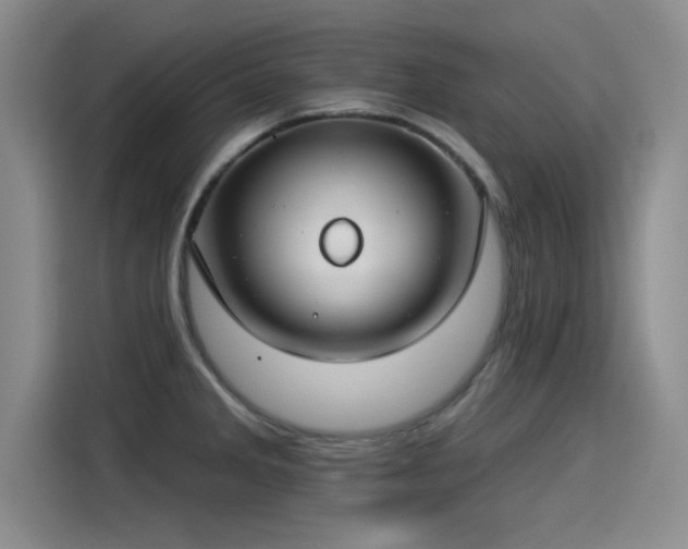 X0000115251285200911061211