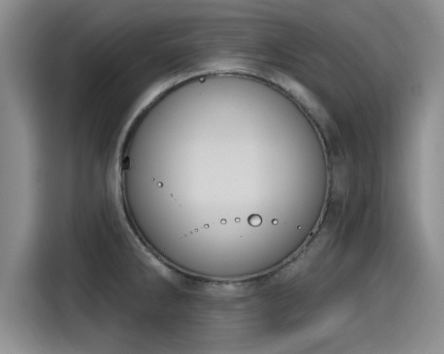 X0000115251286200911061211