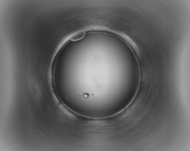 X0000115251287200911061211