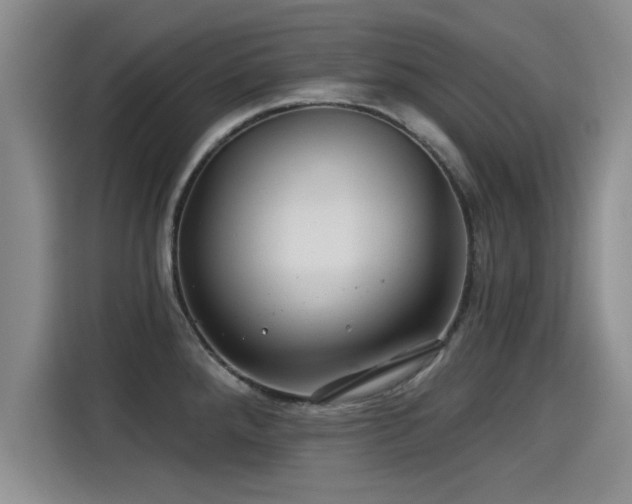 X0000115251288200911061211