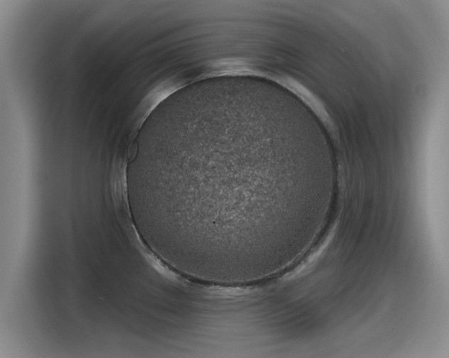 X0000115251289200911061211