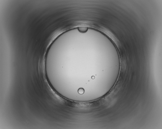X0000115251290200911061211
