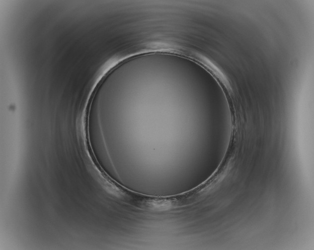 X0000115251291200911061211