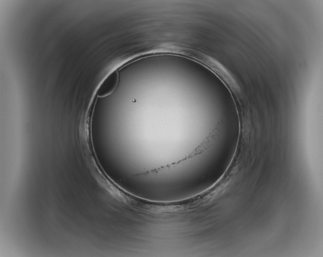 X0000115251292200911061211