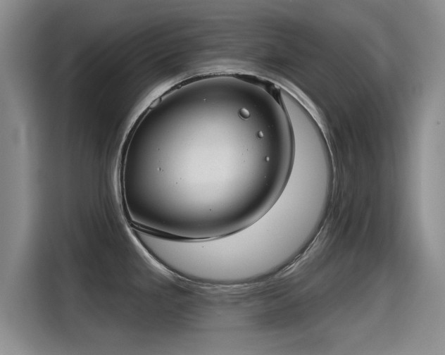 X0000115251293200911061211
