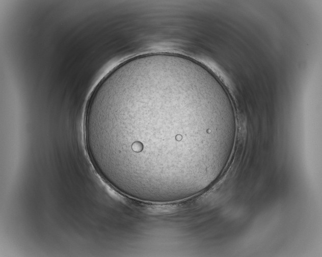 X0000115251294200911061211