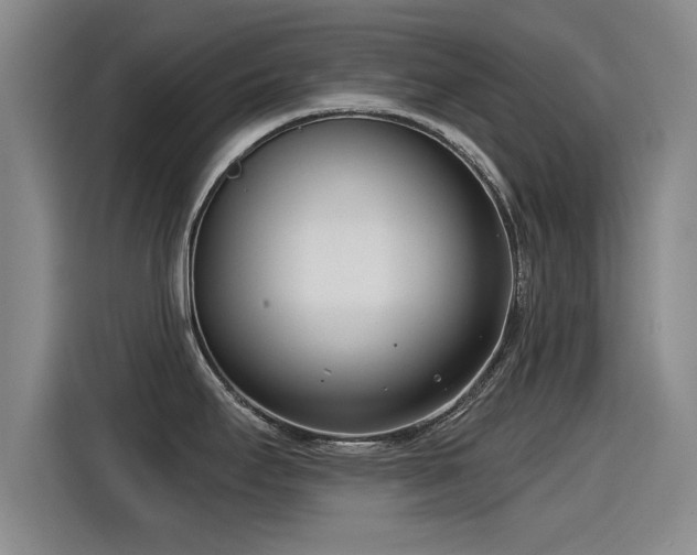 X0000115251295200911061211