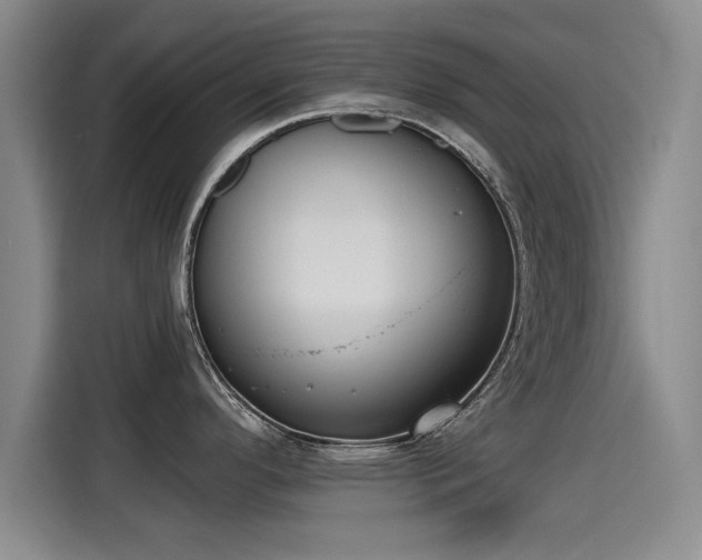 X0000115251296200911061211