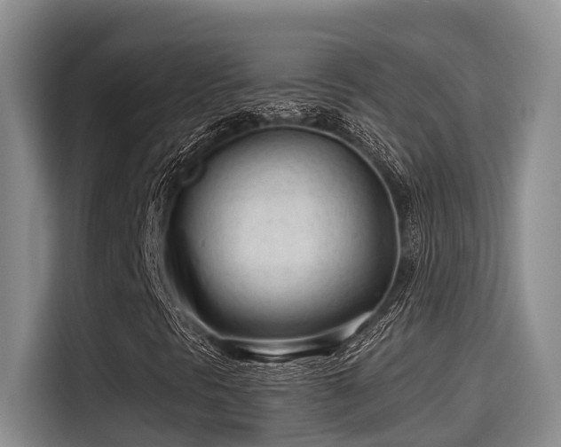 X0000115251297200911061210