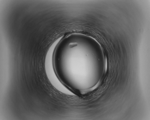 X0000115251298200911061210