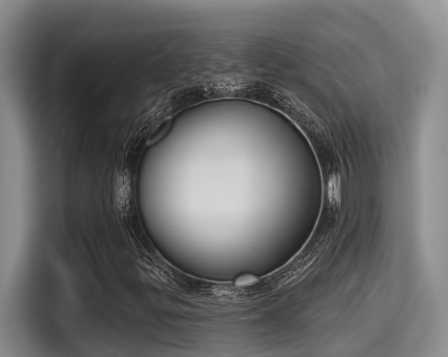 X0000115251299200911061210