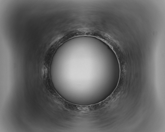 X0000115251302200911061210