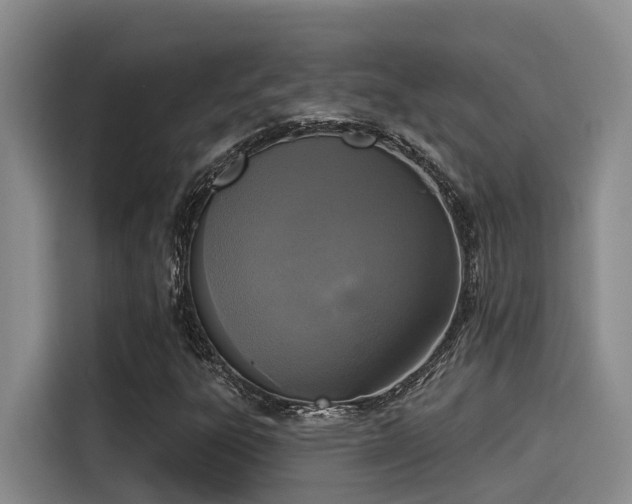 X0000115251303200911061210