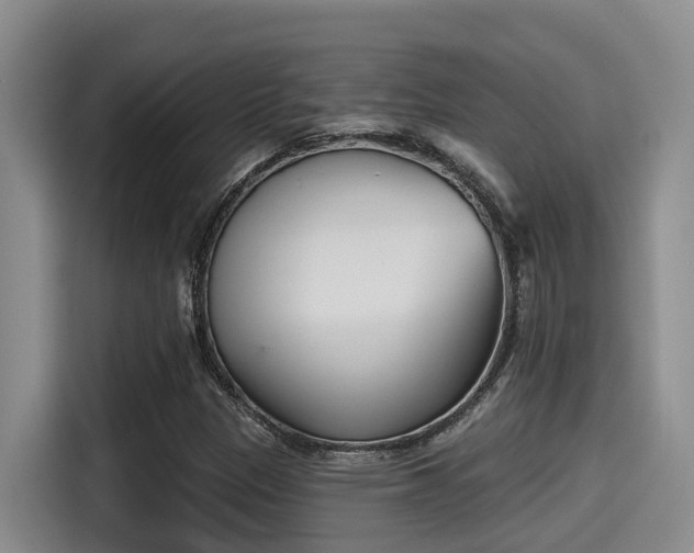 X0000115251305200911061210