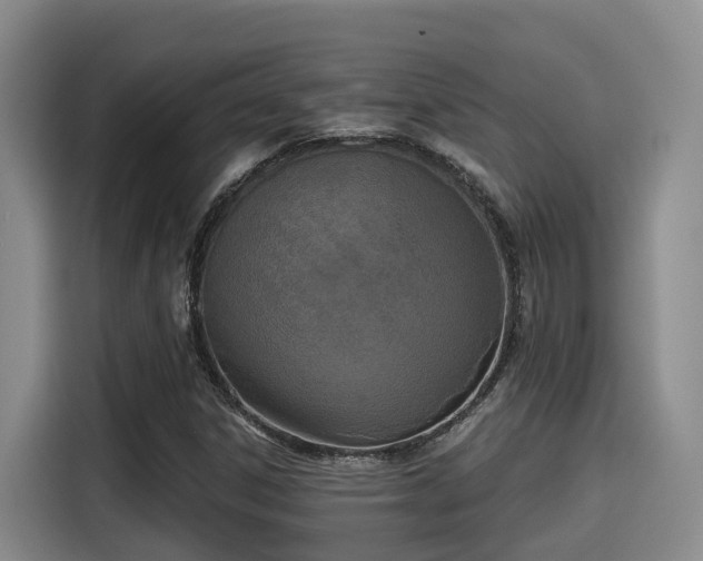X0000115251306200911061210